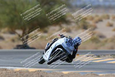 media/Mar-21-2025-CVMA Friday Practice (Fri) [[30cd4fe323]]/3-Racer 2/Session 3 (Turn 5 Tree of Life)/